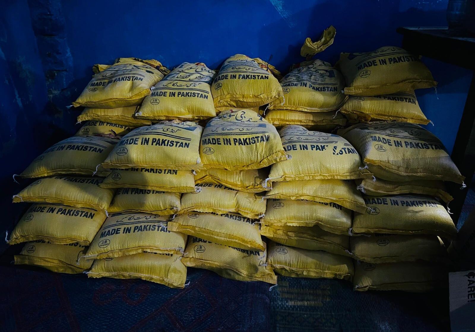 WhatsApp Image 2025-09-30 at 2.23.46 PM